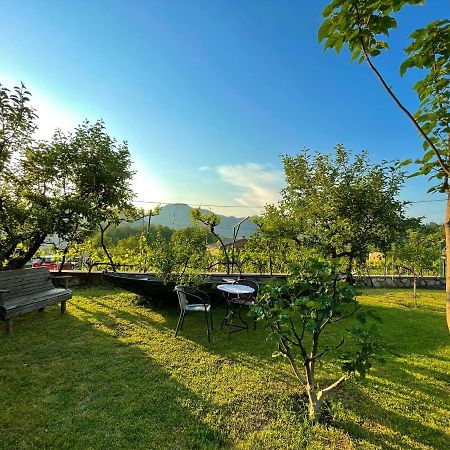 Country House Djurisic Virpazar Extérieur photo