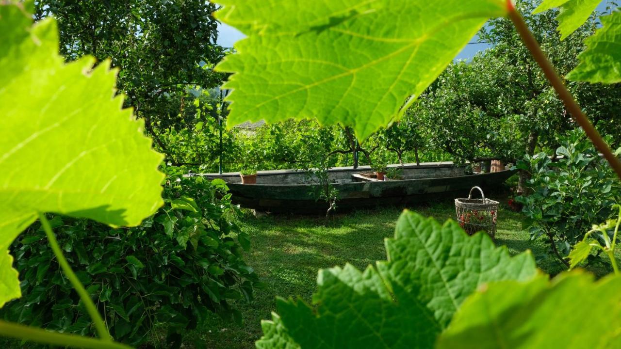Country House Djurisic Virpazar Extérieur photo