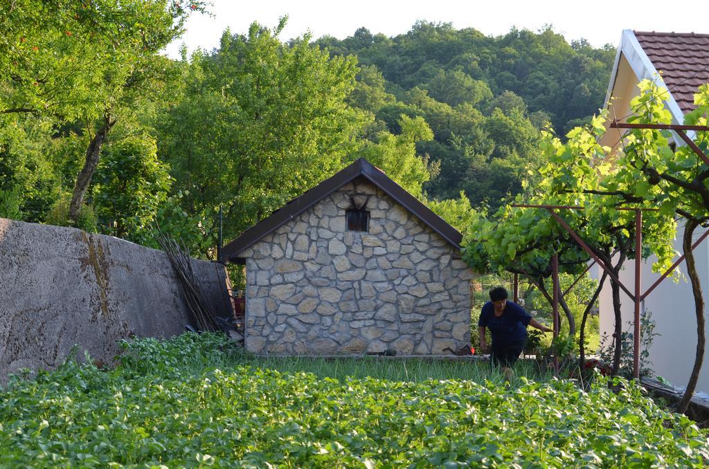 Country House Djurisic Virpazar Extérieur photo