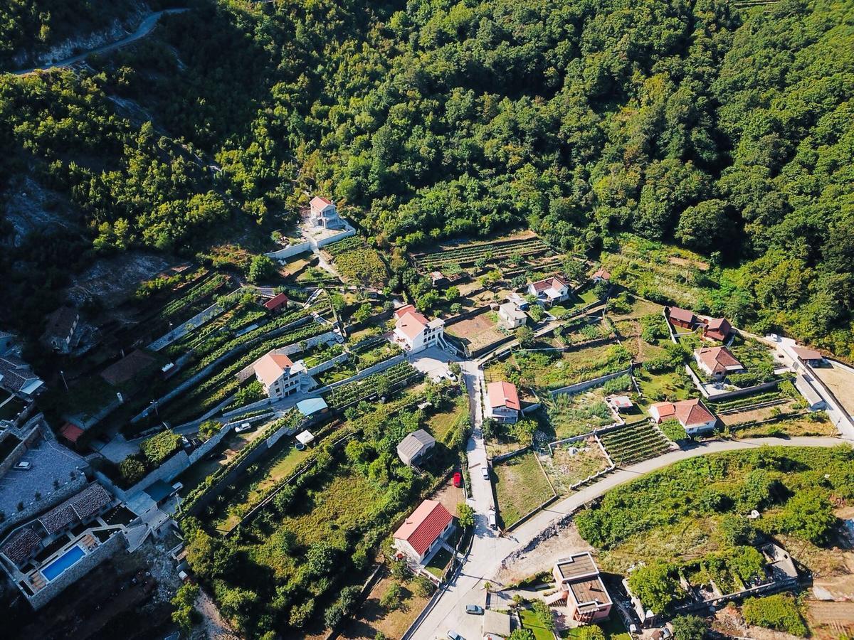 Country House Djurisic Virpazar Extérieur photo
